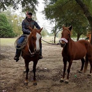 Meet your Posher, Racheal